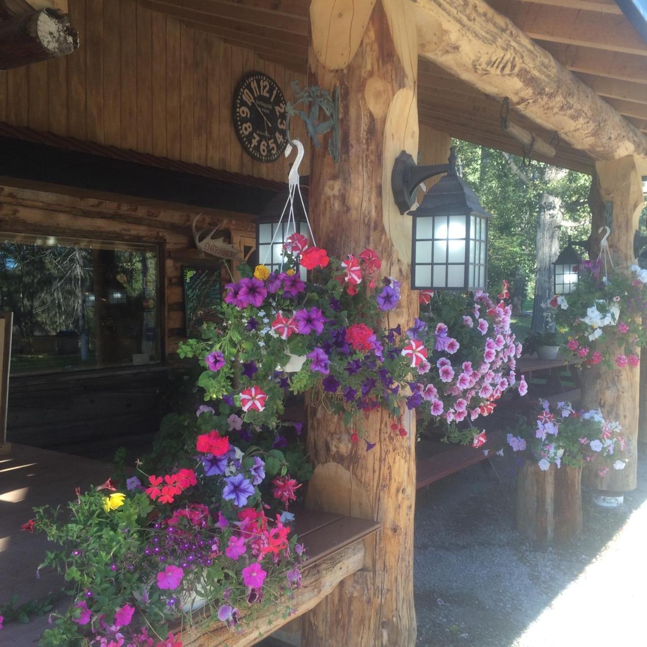 Tetsa River Lodge Zewnętrze zdjęcie